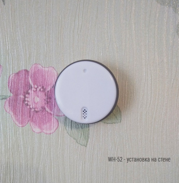 Bluetooth-термометр RELSIB WH52