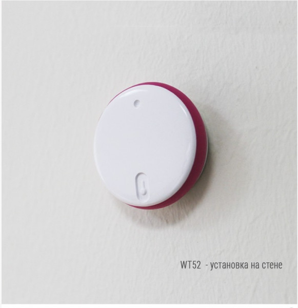 Bluetooth-термометр RELSIB WT52